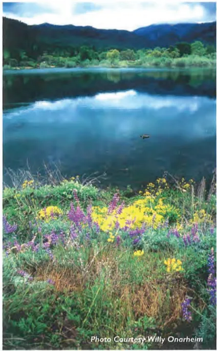 View across Greenhorn Reservoir in Greenhorn Park, showing calm water reflecting the surrounding forested hillsides and open sky