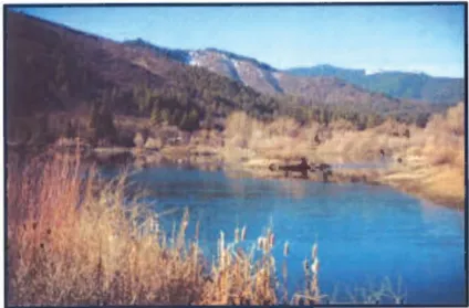 Scenic view of Fall Creek, showing a calm body of water surrounded by golden-brown grasses and bare winter trees, with forested hills and a partially snow-covered mountain in the background.
